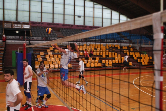 Volley M- CNU: 